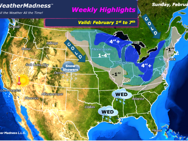 Weekly Highlights February 1st to 7th