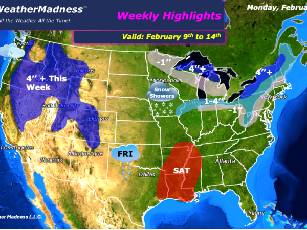 Weekly Highlights February 9th to 14th