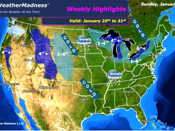 Weekly Highlights January 25th to 31st